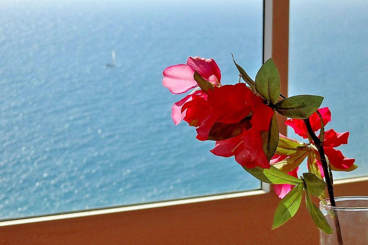 Apartamento Playa Cantara Αλικάντε Εξωτερικό φωτογραφία